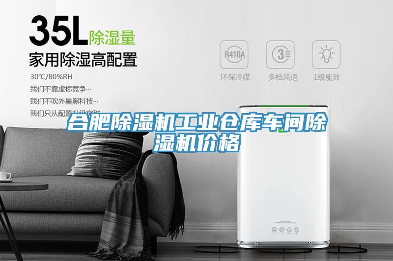 合肥除濕機(jī)工業(yè)倉(cāng)庫(kù)車(chē)間除濕機(jī)價(jià)格