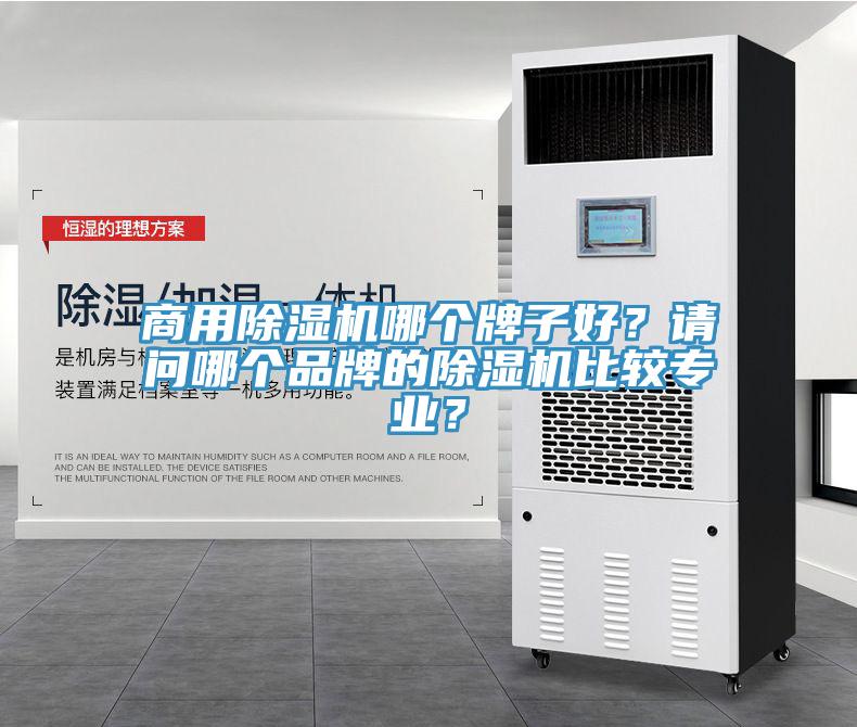 商用除濕機(jī)哪個牌子好？請問哪個品牌的除濕機(jī)比較專業(yè)？
