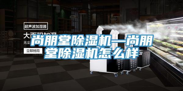 尚朋堂除濕機(jī)—尚朋堂除濕機(jī)怎么樣