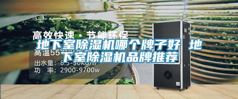 地下室除濕機(jī)哪個(gè)牌子好 地下室除濕機(jī)品牌推薦