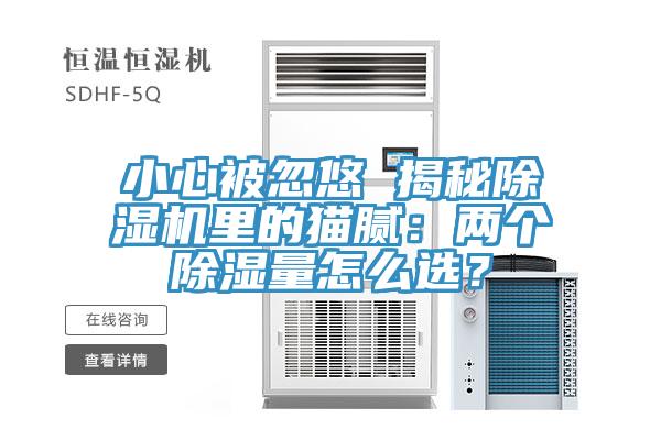 小心被忽悠 揭秘除濕機(jī)里的貓膩：兩個(gè)除濕量怎么選？