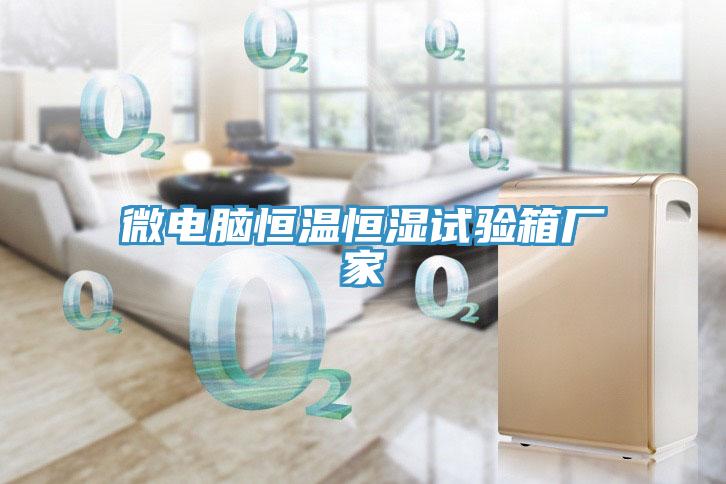 微電腦恒溫恒濕試驗箱廠家