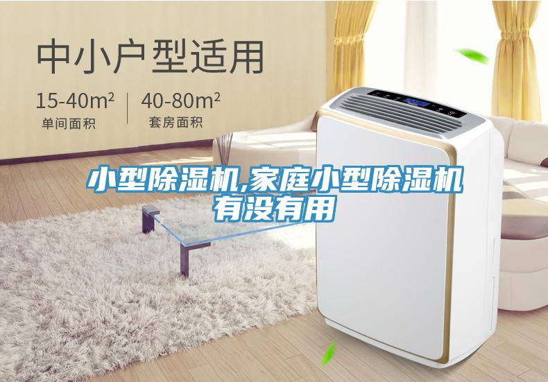 小型除濕機(jī),家庭小型除濕機(jī)有沒(méi)有用