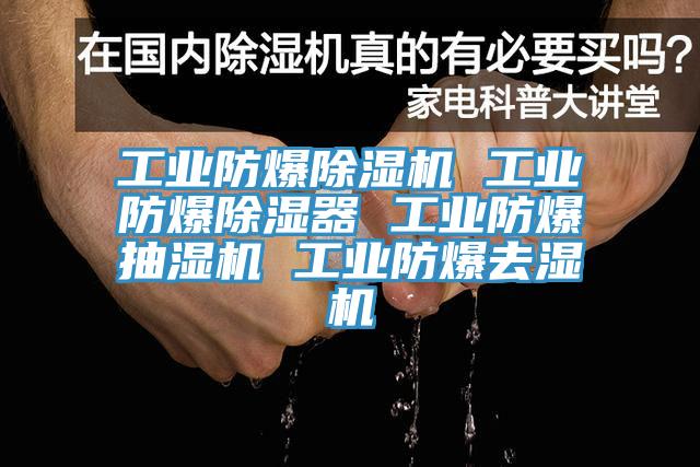 工業(yè)防爆除濕機(jī) 工業(yè)防爆除濕器 工業(yè)防爆抽濕機(jī) 工業(yè)防爆去濕機(jī)