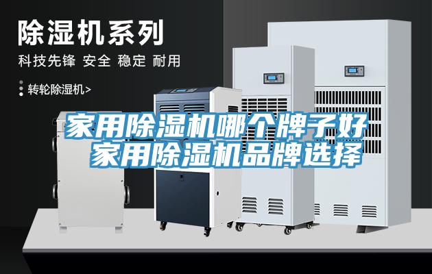 家用除濕機哪個牌子好 家用除濕機品牌選擇