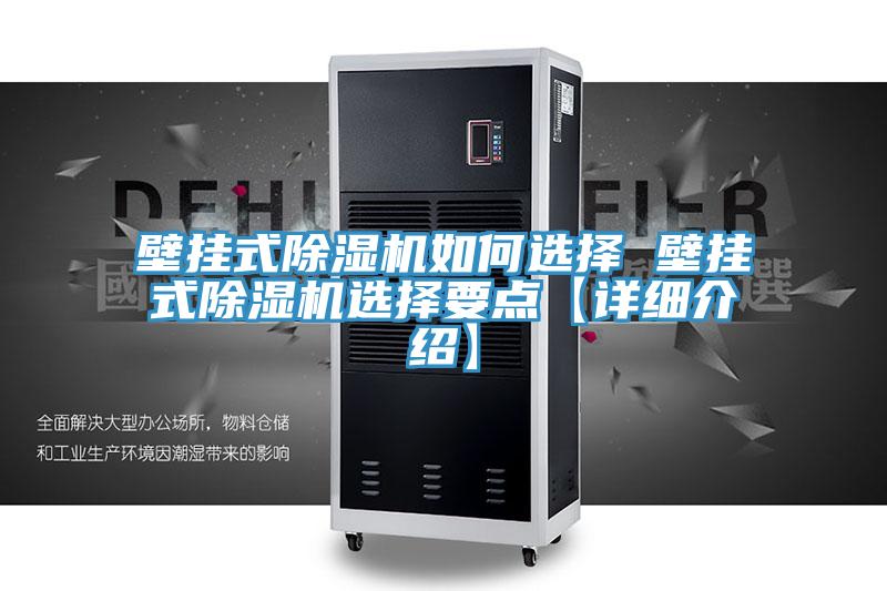 壁掛式除濕機(jī)如何選擇 壁掛式除濕機(jī)選擇要點(diǎn)【詳細(xì)介紹】