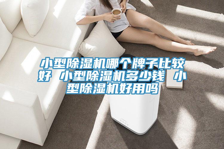 小型除濕機(jī)哪個(gè)牌子比較好 小型除濕機(jī)多少錢 小型除濕機(jī)好用嗎