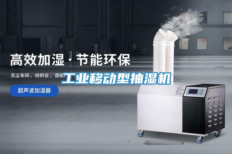 工業(yè)移動型抽濕機(jī)