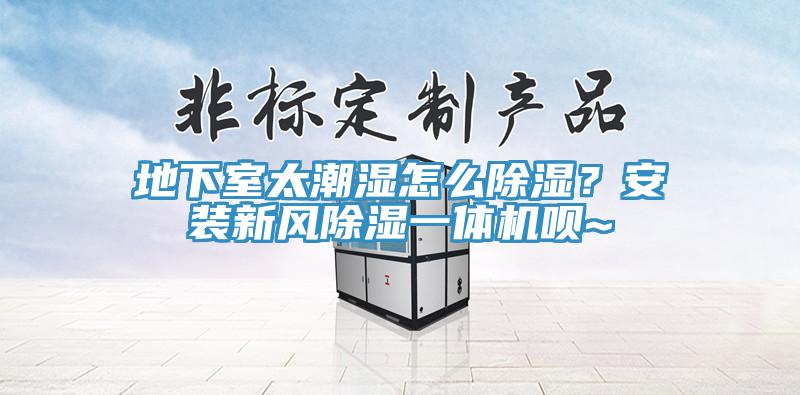 地下室太潮濕怎么除濕？安裝新風(fēng)除濕一體機(jī)唄~