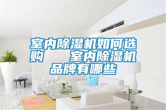 室內(nèi)除濕機(jī)如何選購(gòu)   室內(nèi)除濕機(jī)品牌有哪些
