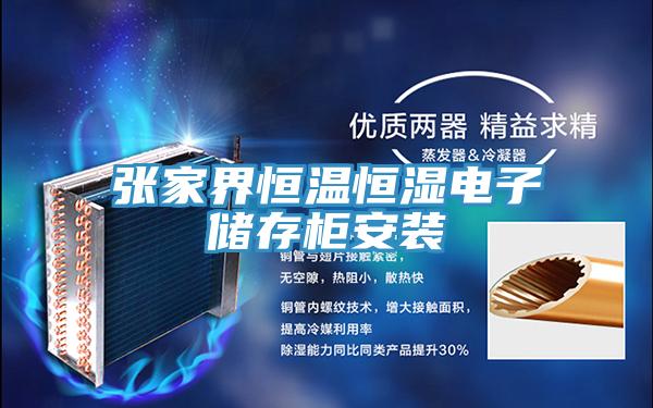 張家界恒溫恒濕電子儲存柜安裝
