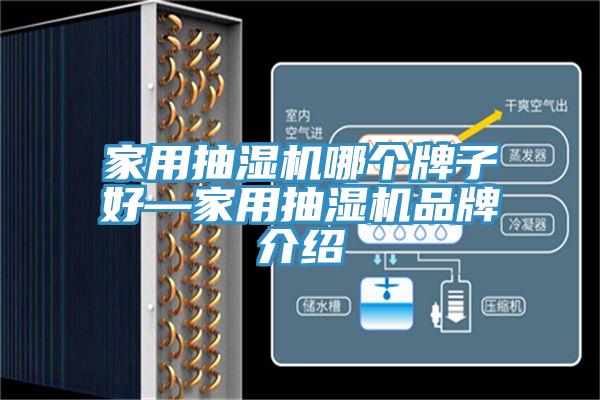 家用抽濕機(jī)哪個(gè)牌子好—家用抽濕機(jī)品牌介紹