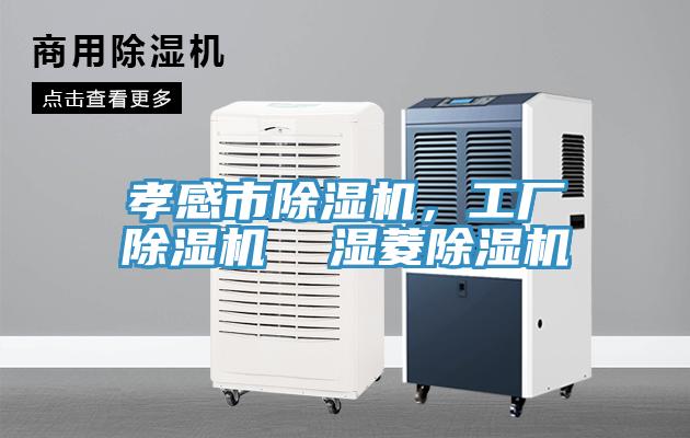 孝感市除濕機，工廠除濕機  濕菱除濕機