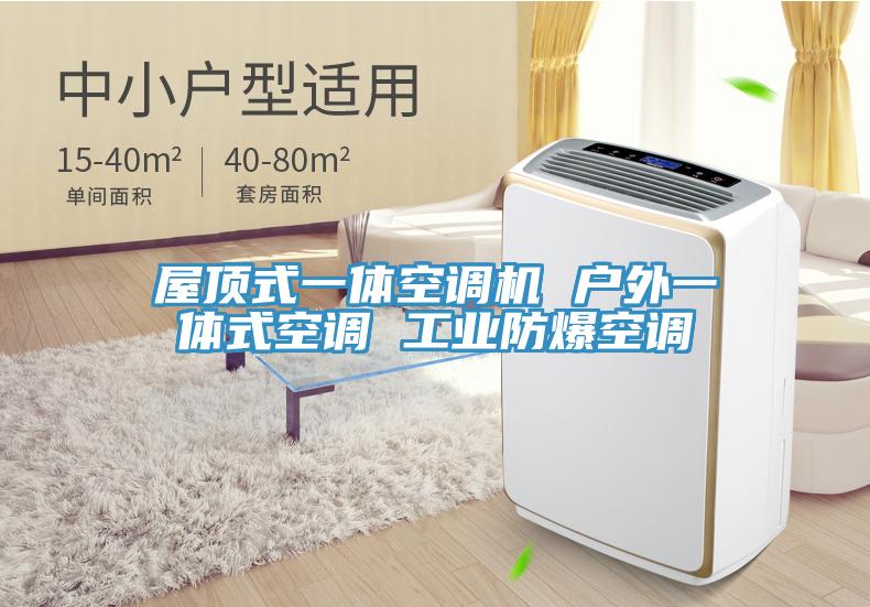 屋頂式一體空調(diào)機(jī) 戶外一體式空調(diào) 工業(yè)防爆空調(diào)