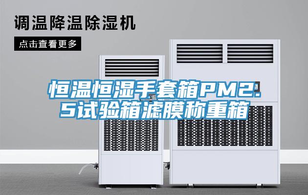 恒溫恒濕手套箱PM2.5試驗(yàn)箱濾膜稱重箱