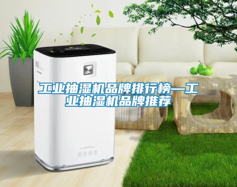 工業(yè)抽濕機(jī)品牌排行榜—工業(yè)抽濕機(jī)品牌推薦