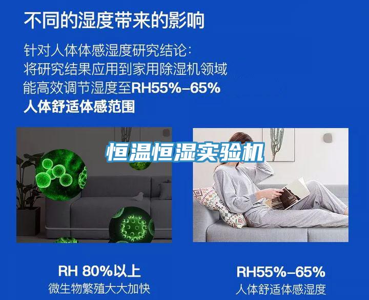 恒溫恒濕實(shí)驗(yàn)機(jī)
