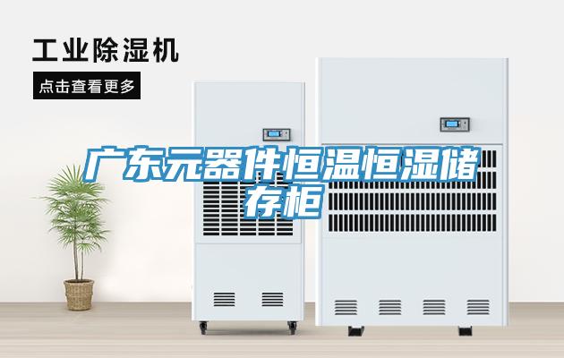 廣東元器件恒溫恒濕儲存柜