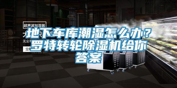 地下車庫(kù)潮濕怎么辦？羅特轉(zhuǎn)輪除濕機(jī)給你答案