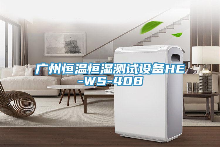 廣州恒溫恒濕測(cè)試設(shè)備HE-WS-408