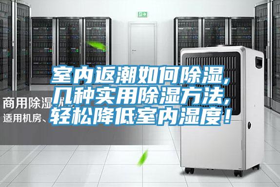 室內(nèi)返潮如何除濕,幾種實(shí)用除濕方法,輕松降低室內(nèi)濕度！