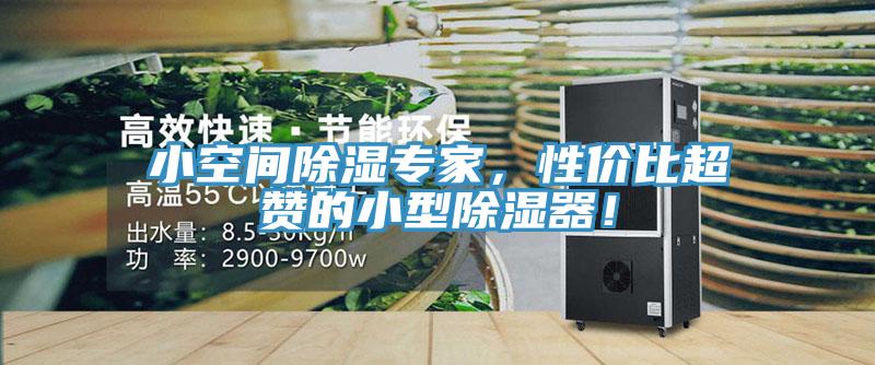 小空間除濕專家，性價(jià)比超贊的小型除濕器！