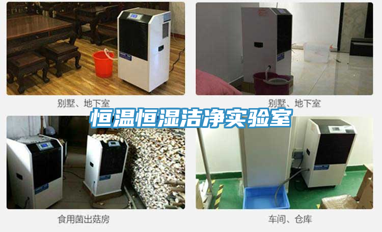 恒溫恒濕潔凈實(shí)驗(yàn)室