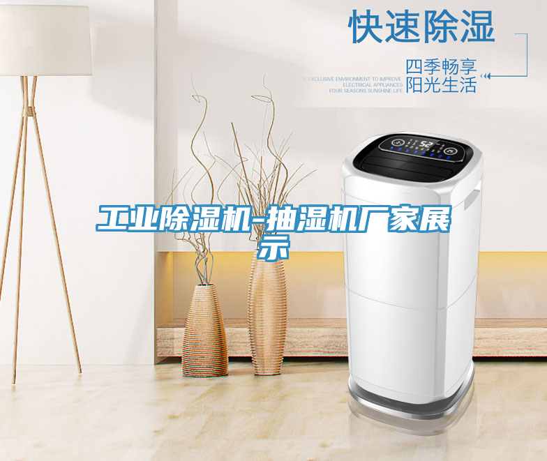 工業(yè)除濕機(jī)-抽濕機(jī)廠家展示