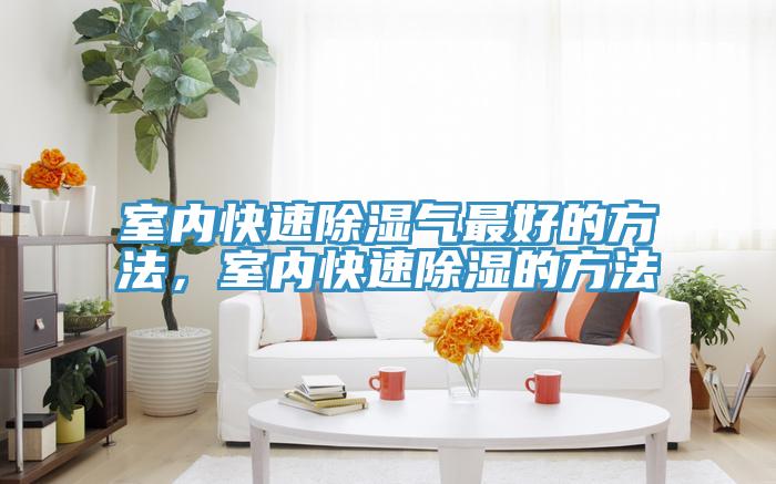 室內(nèi)快速除濕氣最好的方法，室內(nèi)快速除濕的方法