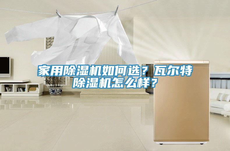 家用除濕機如何選？瓦爾特除濕機怎么樣？