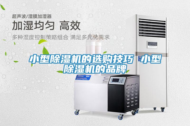 小型除濕機(jī)的選購(gòu)技巧 小型除濕機(jī)的品牌