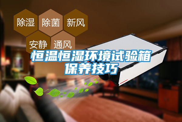 恒溫恒濕環(huán)境試驗(yàn)箱保養(yǎng)技巧