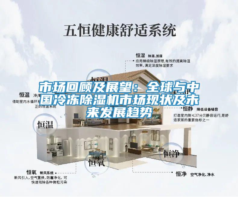 市場回顧及展望：全球與中國冷凍除濕機市場現(xiàn)狀及未來發(fā)展趨勢