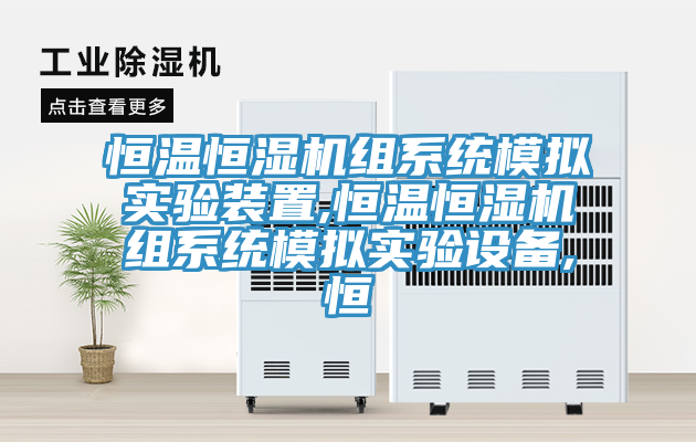 恒溫恒濕機(jī)組系統(tǒng)模擬實(shí)驗(yàn)裝置,恒溫恒濕機(jī)組系統(tǒng)模擬實(shí)驗(yàn)設(shè)備,恒