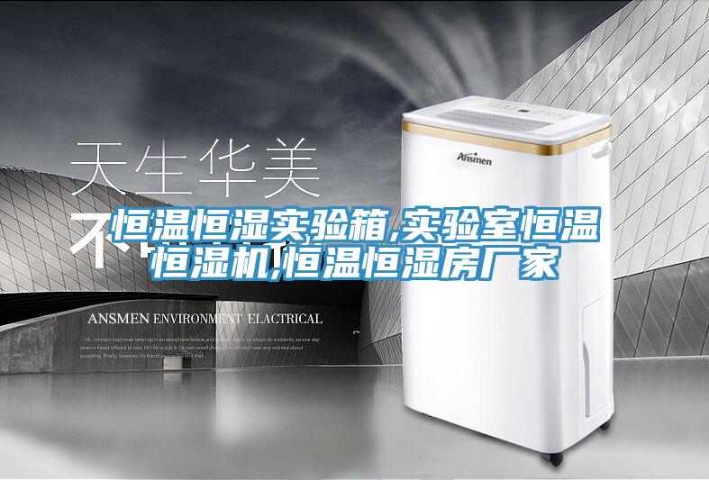 恒溫恒濕實(shí)驗(yàn)箱,實(shí)驗(yàn)室恒溫恒濕機(jī),恒溫恒濕房廠家