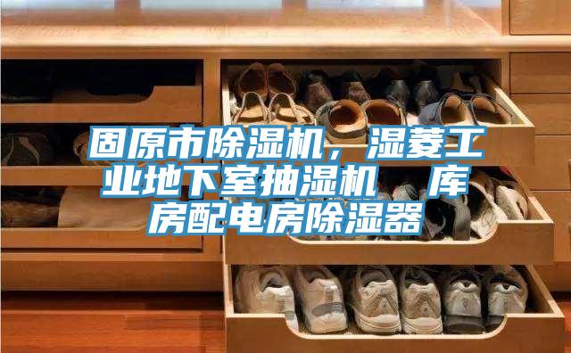 固原市除濕機，濕菱工業(yè)地下室抽濕機  庫房配電房除濕器