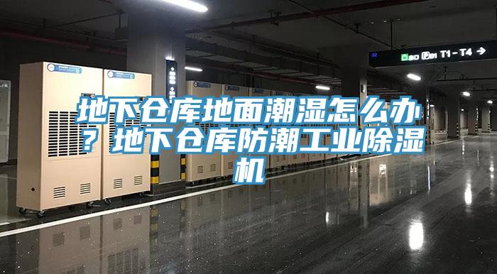 地下倉庫地面潮濕怎么辦？地下倉庫防潮工業(yè)除濕機(jī)