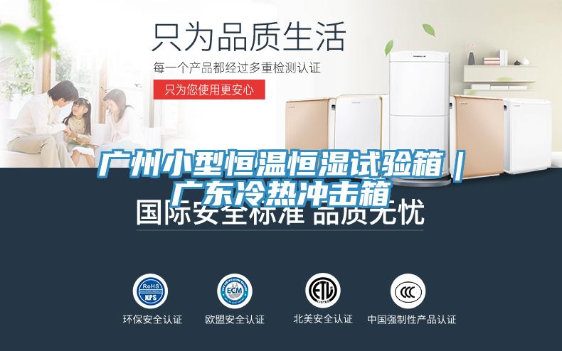 廣州小型恒溫恒濕試驗(yàn)箱｜廣東冷熱沖擊箱