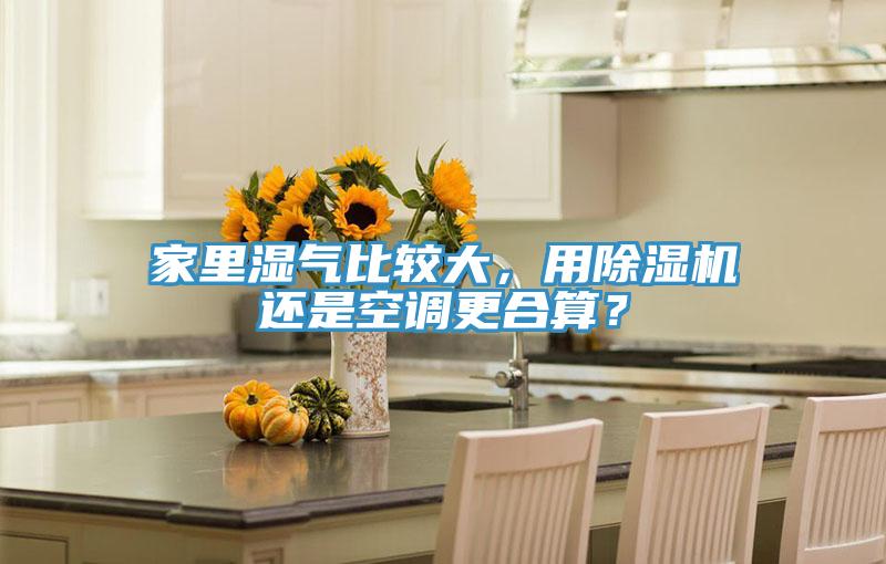 家里濕氣比較大，用除濕機還是空調(diào)更合算？