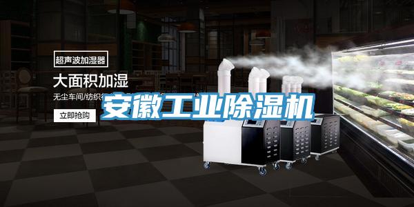 安徽工業(yè)除濕機(jī)