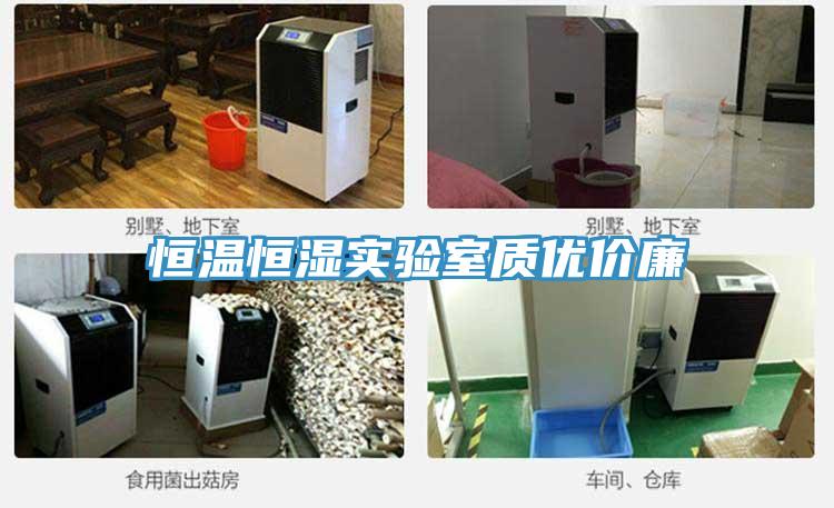 恒溫恒濕實(shí)驗(yàn)室質(zhì)優(yōu)價(jià)廉