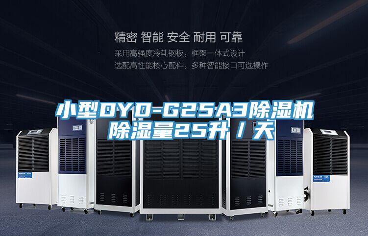 小型DYD-G25A3除濕機(jī) 除濕量25升／天