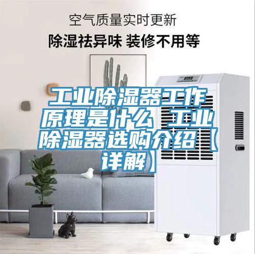 工業(yè)除濕器工作原理是什么 工業(yè)除濕器選購(gòu)介紹【詳解】