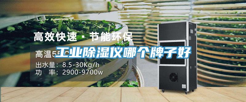 工業(yè)除濕儀哪個(gè)牌子好