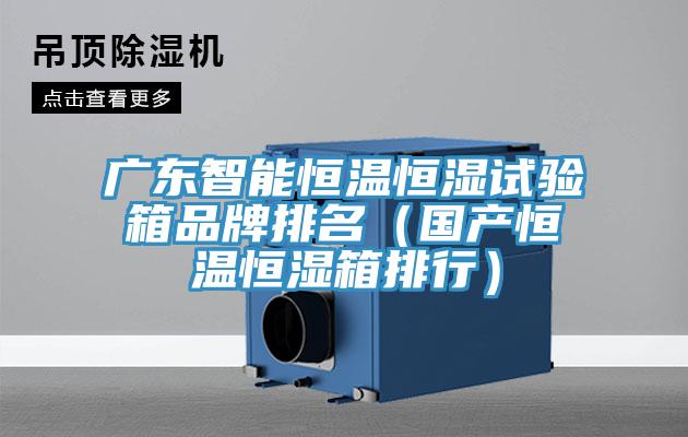 廣東智能恒溫恒濕試驗箱品牌排名（國產恒溫恒濕箱排行）