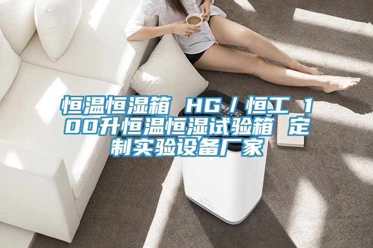 恒溫恒濕箱 HG／恒工 100升恒溫恒濕試驗(yàn)箱 定制實(shí)驗(yàn)設(shè)備廠家