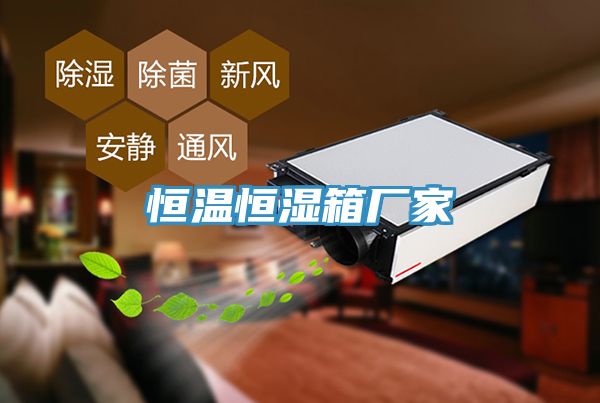 恒溫恒濕箱廠家