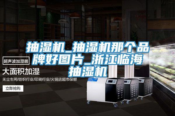 抽濕機(jī)_抽濕機(jī)那個品牌好圖片_浙江臨海抽濕機(jī)