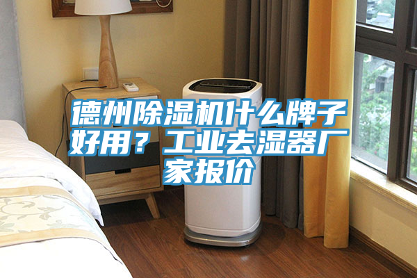 德州除濕機什么牌子好用？工業(yè)去濕器廠家報價