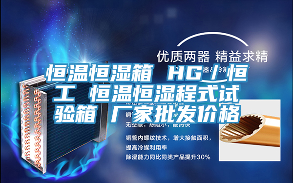恒溫恒濕箱 HG／恒工 恒溫恒濕程式試驗(yàn)箱 廠家批發(fā)價格